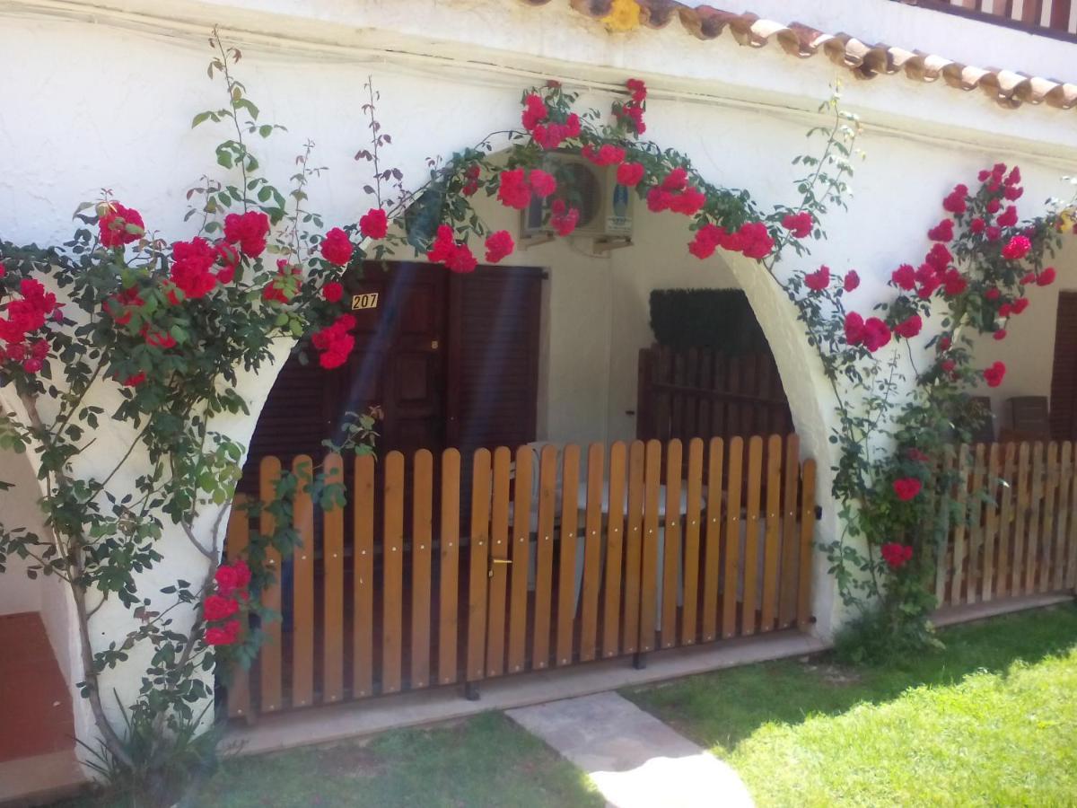 Apartamentos Alcossebre "El Faro Apartaments Alcossebre" Piscina, Playa Y Diversion Eksteriør bilde
